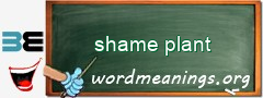 WordMeaning blackboard for shame plant